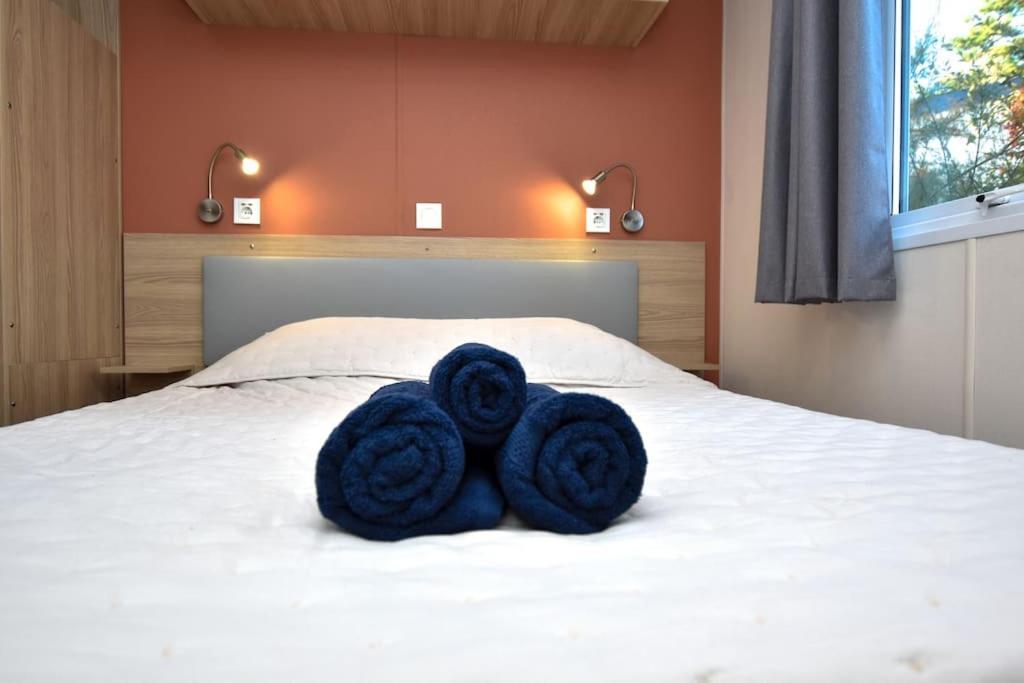 La Roseliere ❁ Piscine ❁ Tranquillite Apartment Saint-Hilaire-de-Riez ภายนอก รูปภาพ